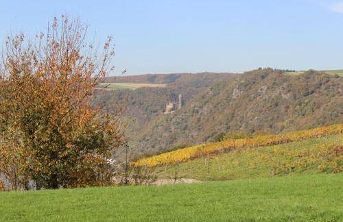 Ferienwohnung Loreley - Foto 26