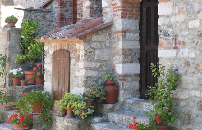 Agriturismo Colli di Travale - Foto 56