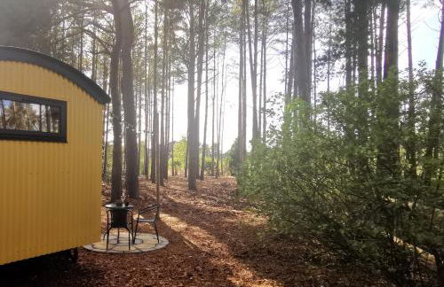 Forest Heath Shepherd's Huts - Foto 6