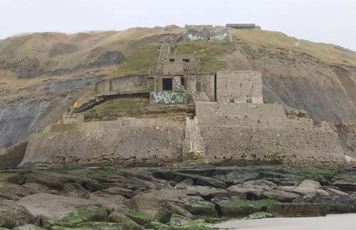 Face Nausicaa et plage vue panoramique - Foto 24