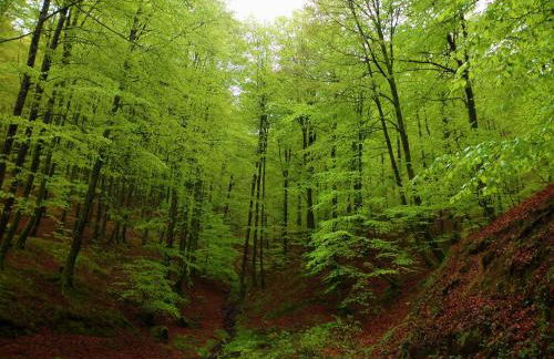 Casa Rural Aldekoa - Foto 34