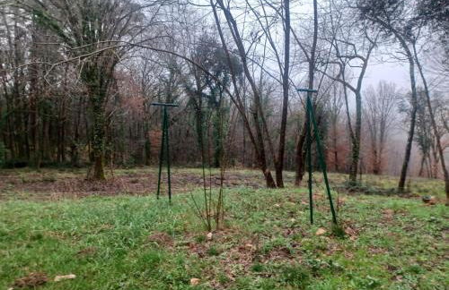 Les tilleuls Maison 11 - 6 pers - Foto 34