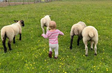 Hele Bay Cottage - Foto 43