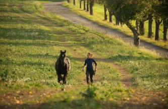 TinyHousebeiDresden mit Faßsauna klein aber fein, beste Alleinlage direkt am Naturteich, große Terrasse - Nähe Sächsische Schweiz und Dresden - Foto 24