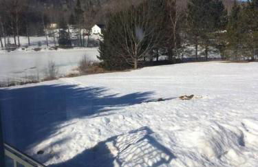 Lakeside Snowmobile - Ski Villa, 4BR 2BA, sleeps 10 - Foto 15