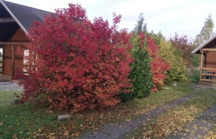 Chalet Domaine du Hulobiet - Foto 38