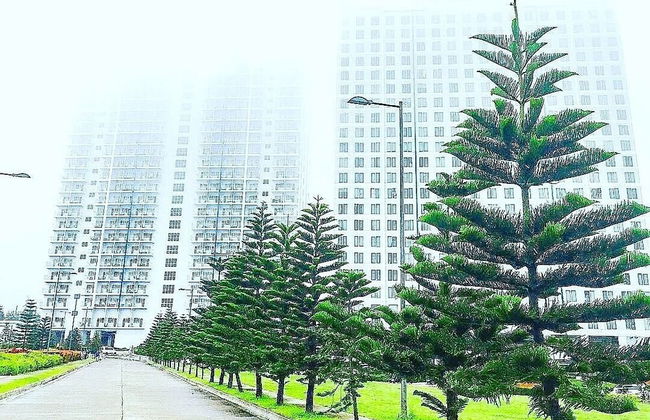 HomeStay at Wind Residences - Photo 37