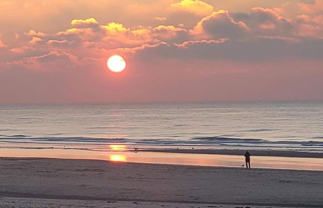 Apartment in Bergen aan Zee With Roof Terrace - Photo 38