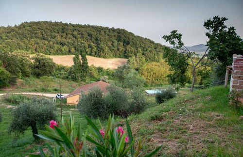 Luxury Country Villa Daniele - Foto 60