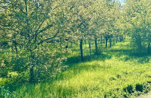 Perugia and Assisi Art Culture and Spirituality - Photo 43