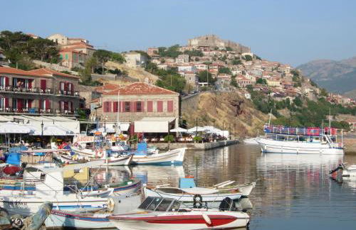 Molivos Tower - Photo 64