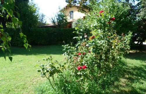 Pian del Pigro - Foto 37