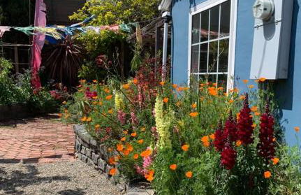 Relaxing 3 bedroom Santa Cruz house, 5min to beach - Foto 22