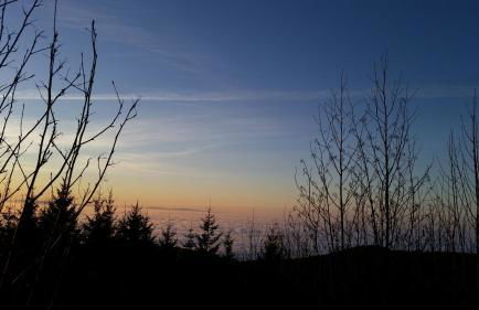 Ehrenmättlehof Faißt - Foto 39