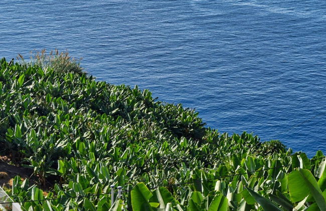 Vista Mar, a Home in Madeira - Foto 8