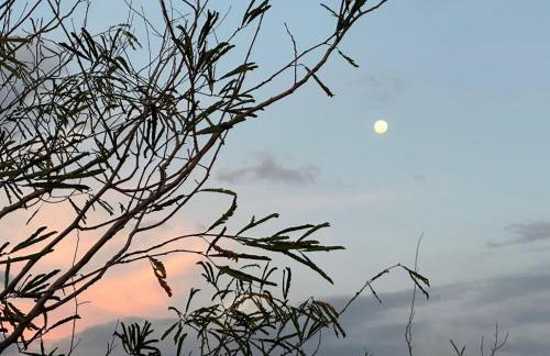 Casa ampla com jardim e 3 suítes em Novo Airão - Foto 38