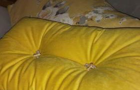 Meadow View - Foto 13