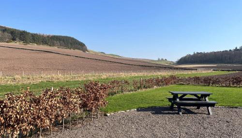 Railway Cottage, Newtyle - Foto 2