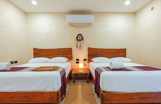 Calea Tulum - Photo 14