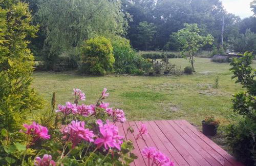 Apartamenty Zielona Góra - Foto 25