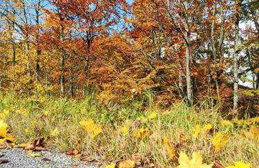 Angel Holiday House - Foto 36