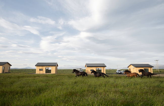 Sleeping with the Horses - Foto 46