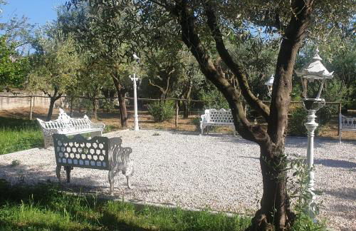 Tenuta Oliva - Foto 53