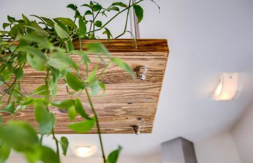 Residence Engel - Foto 9