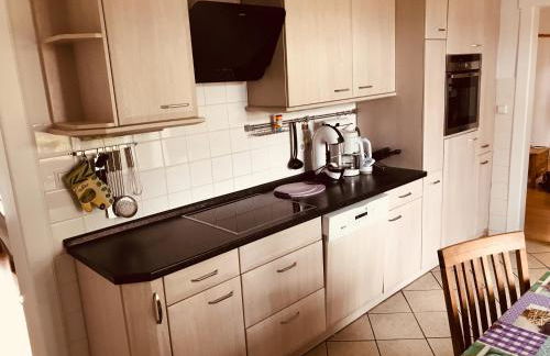 Haus an den Elbwiesen - Foto 15