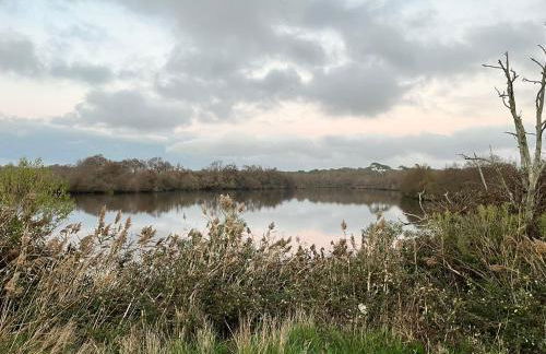 La Cabane 14 - Foto 28