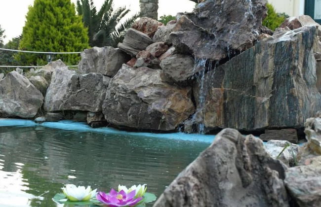 Ktima Nikola - Photo 47