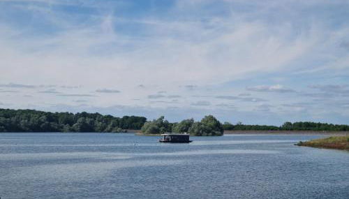 Bateau Lac du Der - Sainte-Marie - Navigation - Foto 5