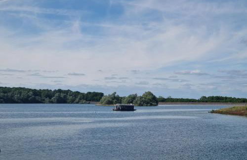 Bateau Lac du der - Arrigny - Navigation - Foto 6