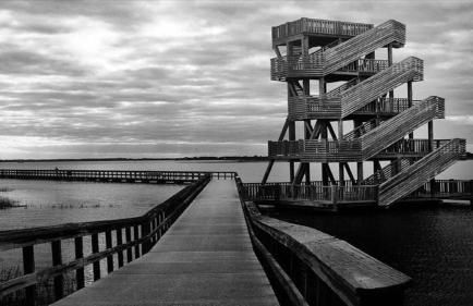 New Listing - Historical Home in Mossy Oaks - Foto 34