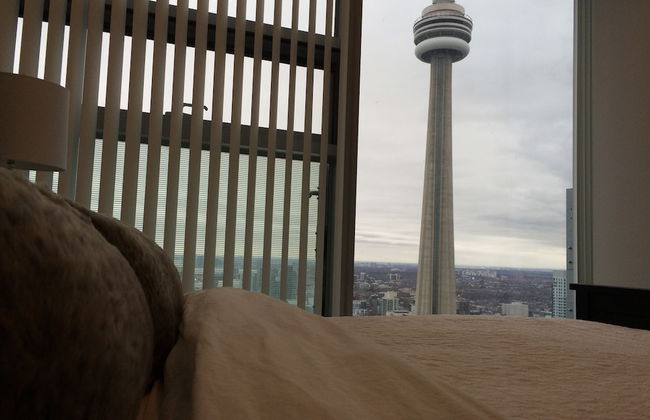 TO Stays - York and Lakeshore - Foto 55