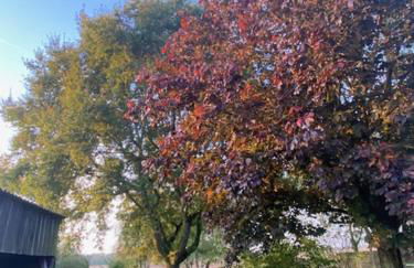 L’abri du monde - Foto 22