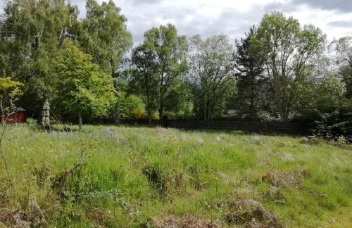 Highland Lodge - Foto 28