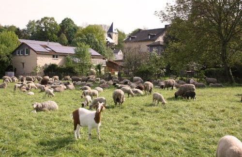 Urlaub im Kunstatelier - Foto 1