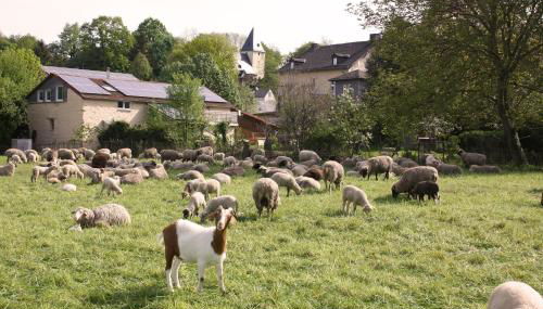 Urlaub im Kunstatelier - Foto 1