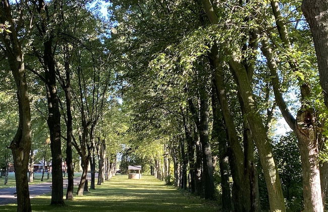 Château Venise - Foto 67