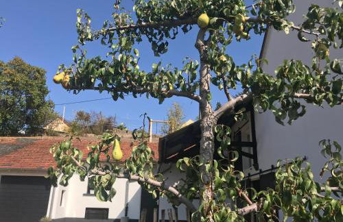 Luxe, landelijke vakantiewoning der alte Birnenbaum Duitsland-Sankt Wendel - Foto 36