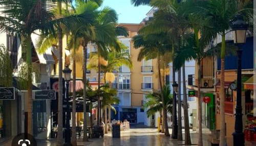 The Salamadras - Photo 2