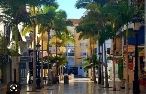 The Salamadras - Photo 2