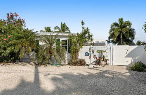 Marathon Magic - Foto 30