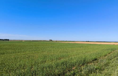 Casas Rurales Huerto Del Abuelito - Foto 37