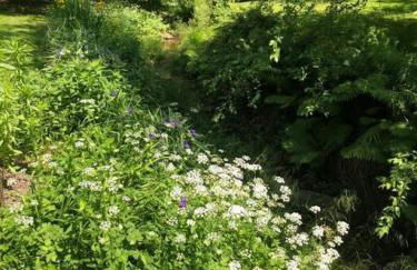 5 Star Penthouse King Deck AC Train - Foto 30