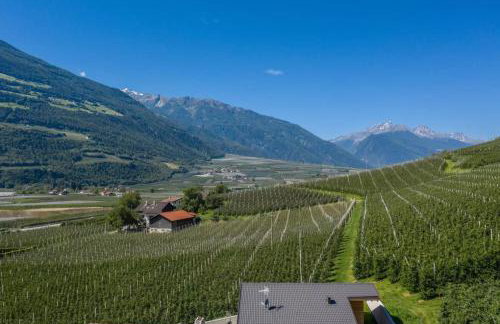 Pixnerhof - Ferienwohnung Golden - Foto 2