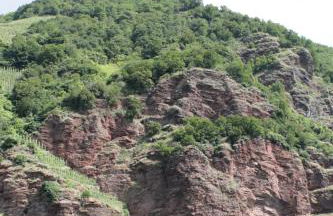 Ferienhaus Moselblick mit kostenfreien ÖPNV-Ticket - Foto 20