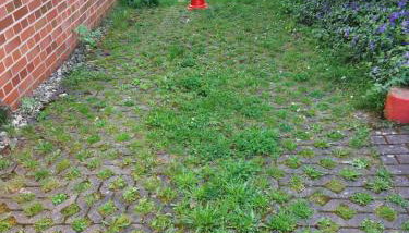 Gelbes Haus Heldritt - Foto 3