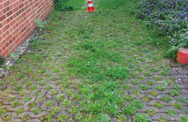 Gelbes Haus Heldritt - Foto 3